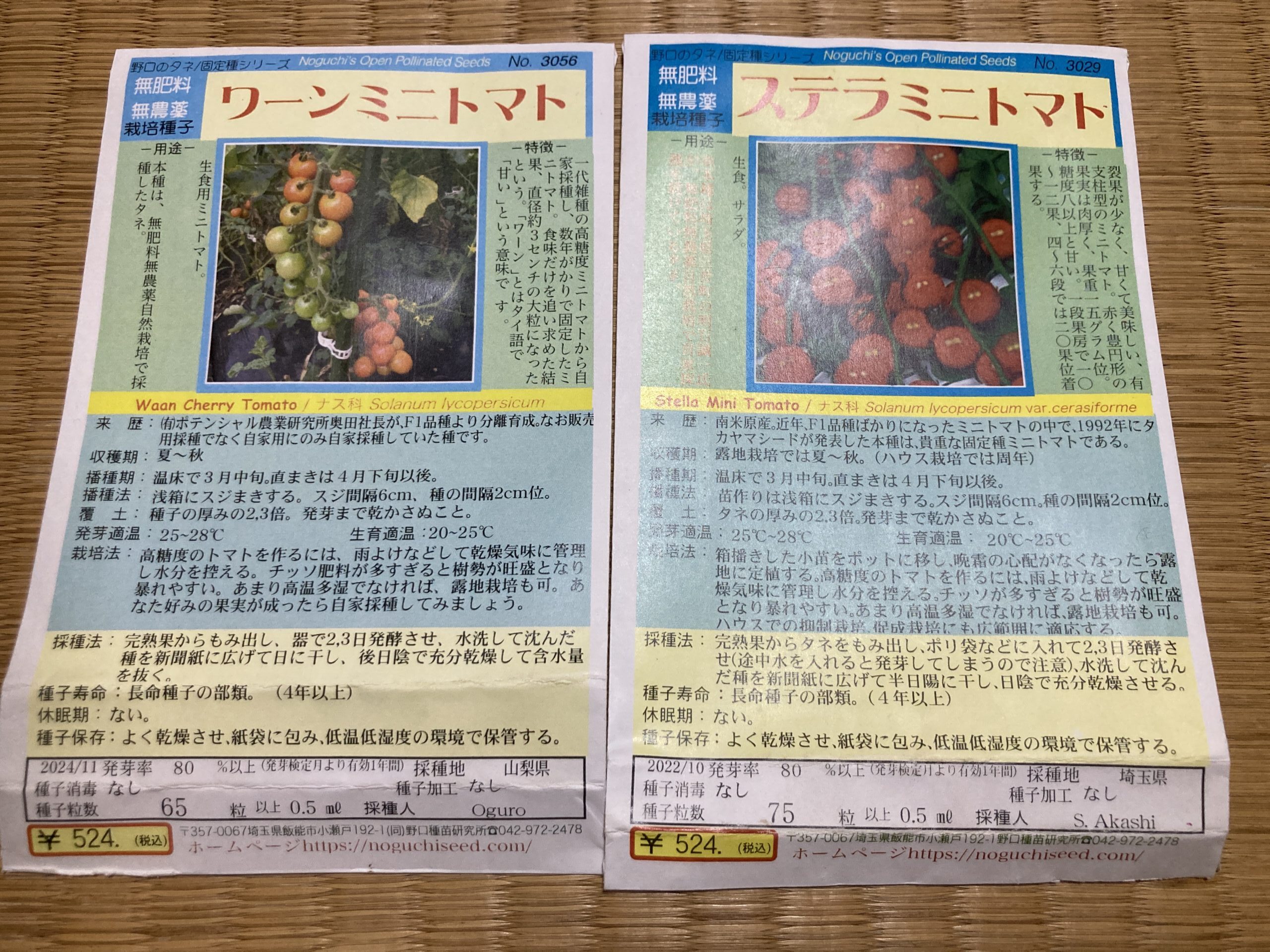 野口種苗さんで購入：[ワーンミニトマト2024購入][ステラミニトマト2022購入]